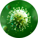 Sistema Imunológico